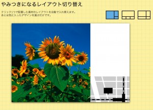 Picky-Pics-layout